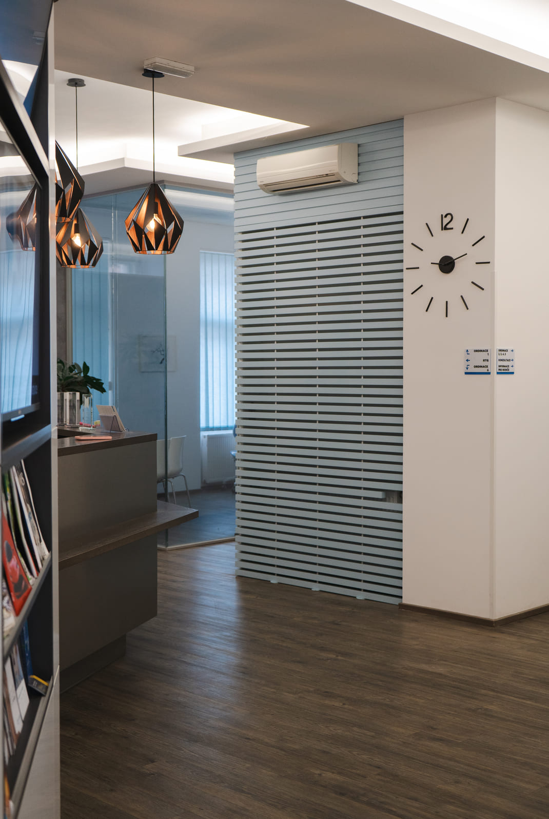 On-line objednn konzultace